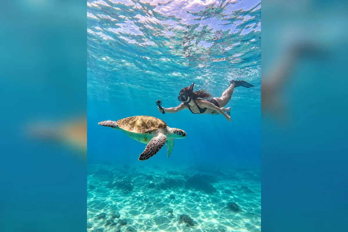 Vacation Deals Curacao