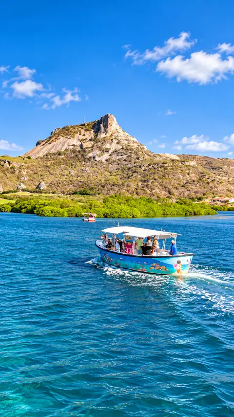 Red Snapper Boat Trips
