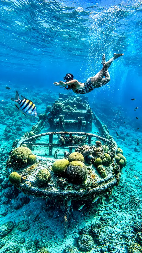 Red Snapper Boat Trips