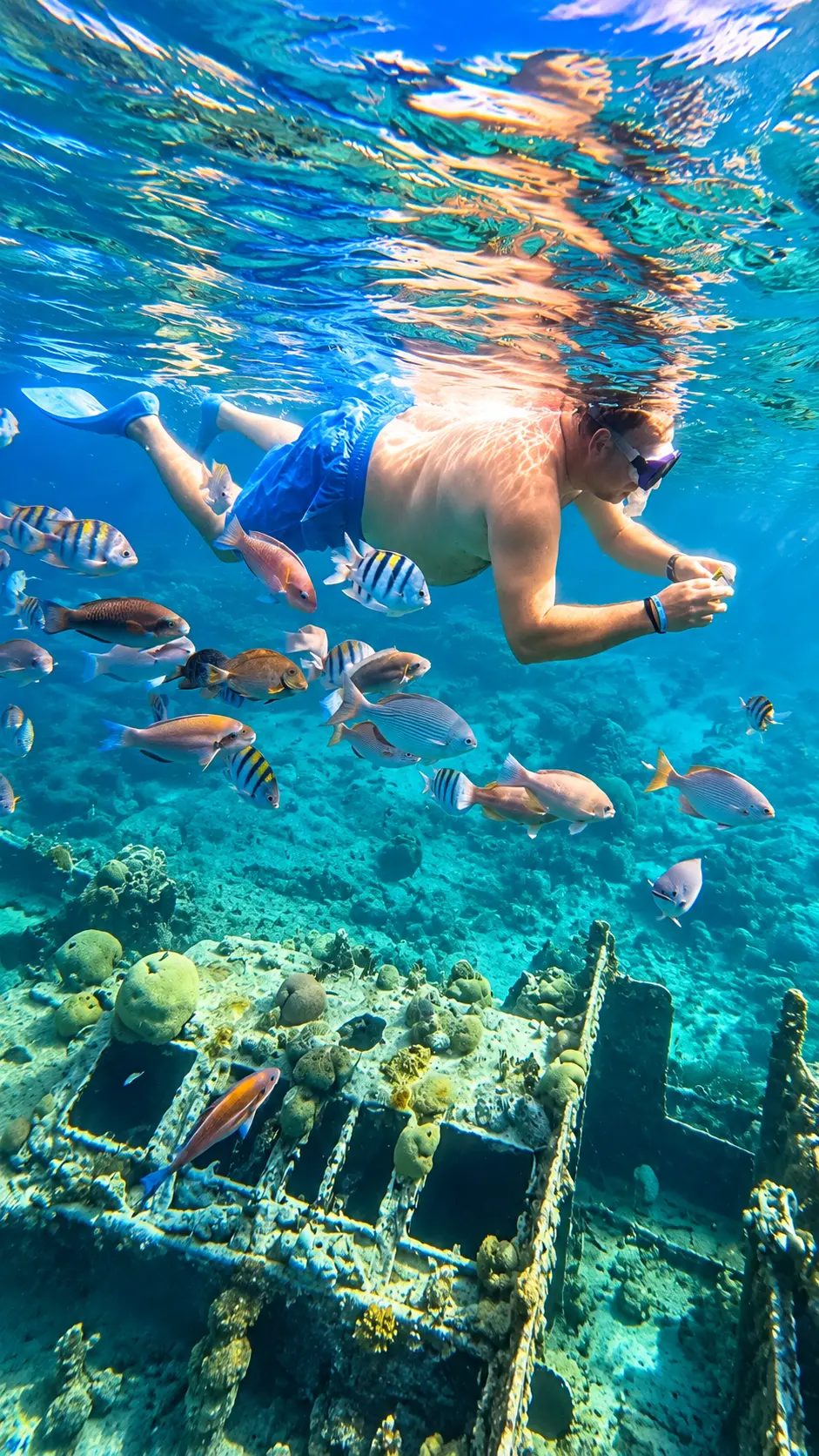 Red Snapper Boat Trips